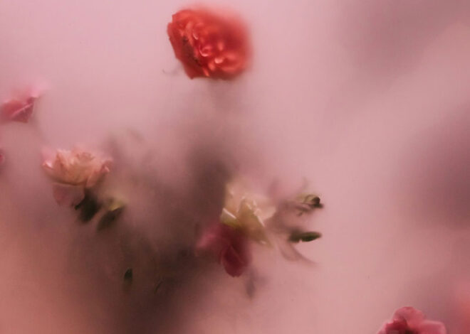 The Silent Flame: Why Low-Grade Inflammation Is Britain’s Hidden Health Crisis