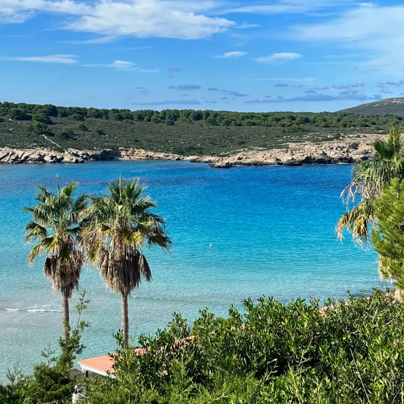 the real wellbeing retreats enjoy the summer